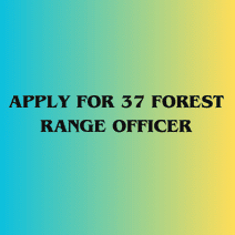 Image of Apply for 37 Forest Range Officer