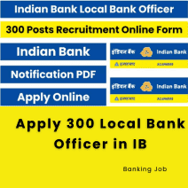This is an image of Apply 300 Local Bank Officer in IB